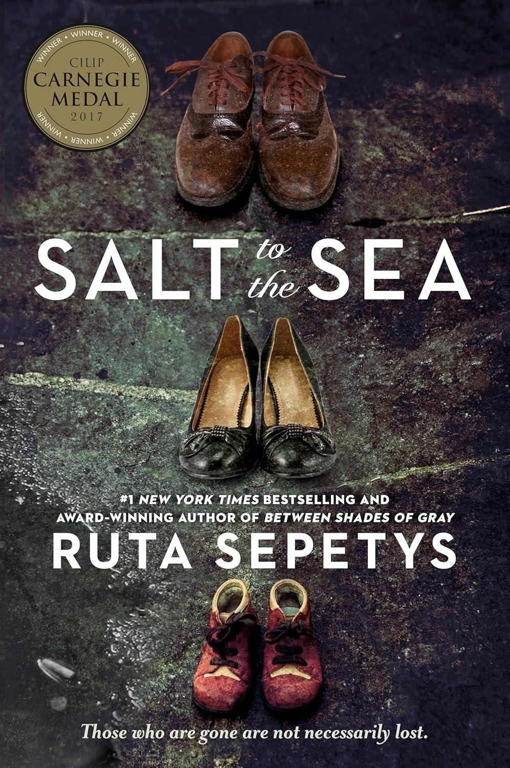 Echoes of Humanity: A Deep Dive into "Salt to the Sea"