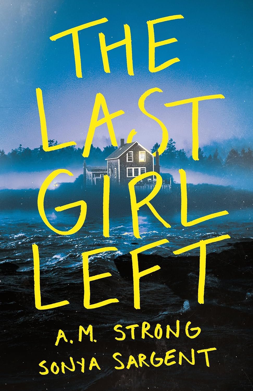Unraveling Secrets: A Gripping Dive into "The Last Girl Left"