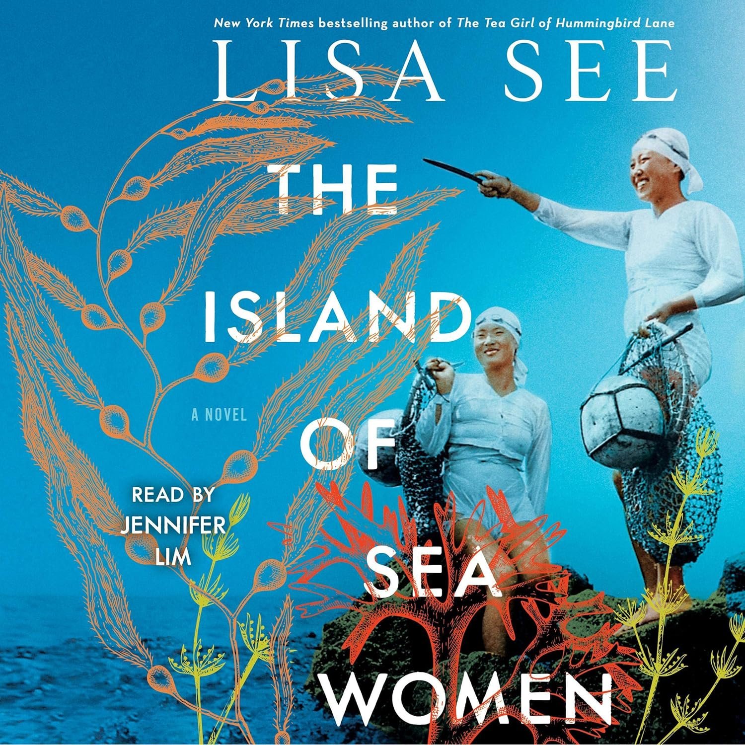 Voices of the Tide: Unraveling the Depths in The Island of Sea Women